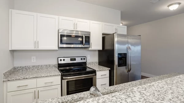 Gourmet kitchen with wood-style flooring, granite countertops, white cabinetry, and high-quality stainless steel appliances including a side-by-side refrigerator, built-in microwave, stove, oven, dishwasher, and sink
